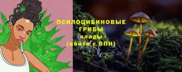 эйфоретик Алексеевка