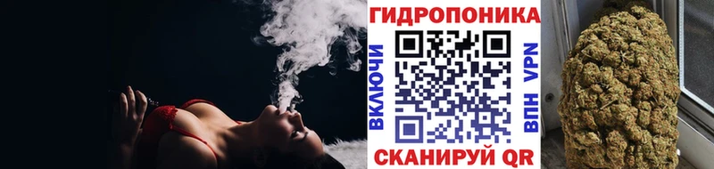 Шишки марихуана план Северодвинск